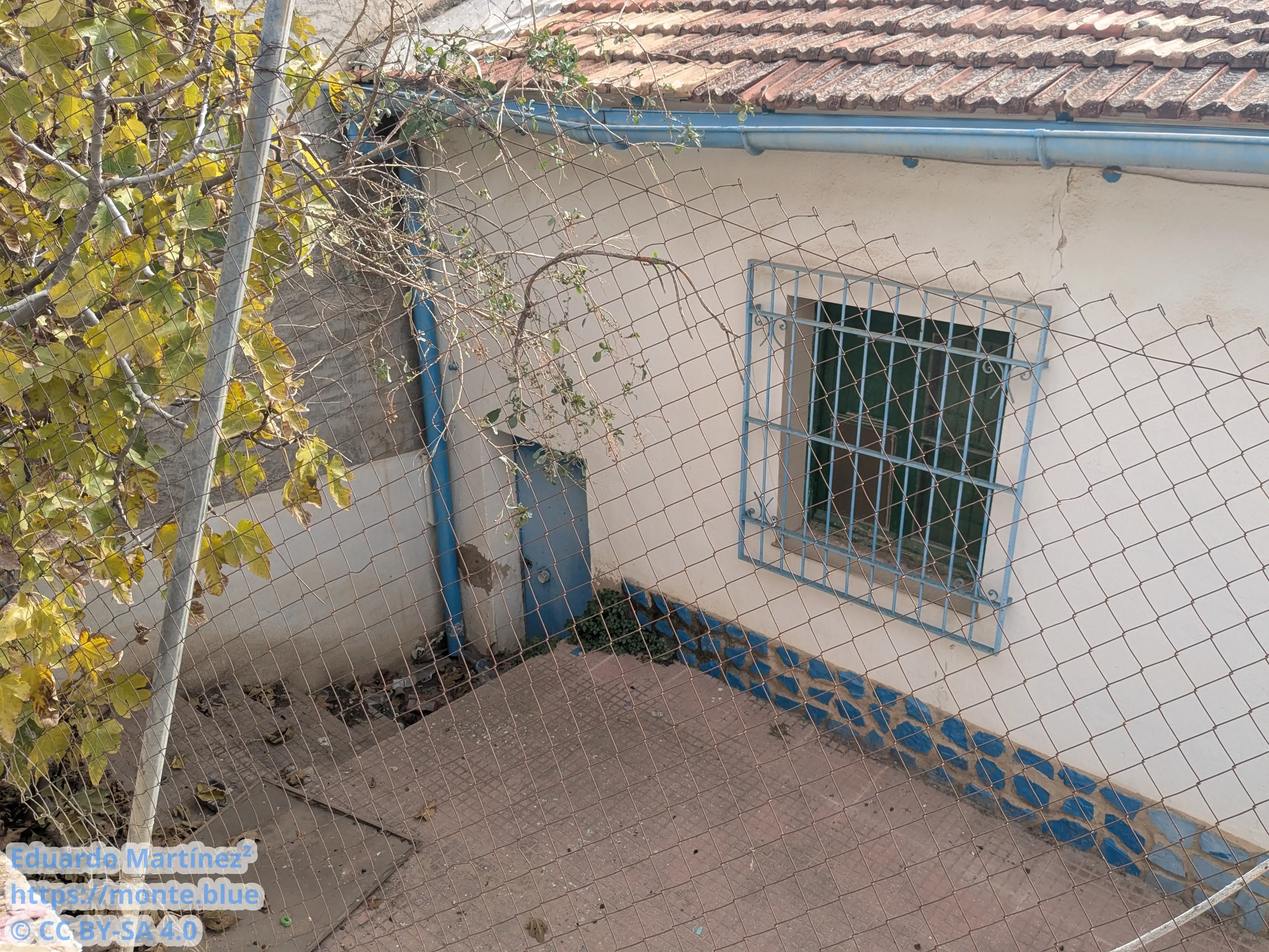 Más detalles de la casa, diciembre 2024.